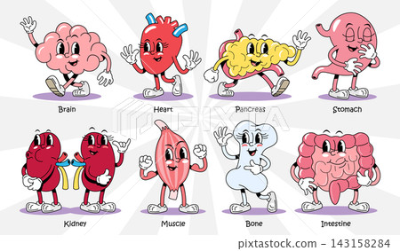 Human internal organ anatomy retro 1930s style rubber hose cartoon characters set for medical design, featuring brain, heart, pancreas, stomach, kidney, muscle, bone, intestine. Vector illustration. Human internal organ anatomy retro 1930s style rubber hose cartoon characters set for medical design, featuring brain, heart, pancreas, stomach, kidney, muscle, bone, intestine. Vector illustration. 143158284