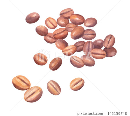 Watercolor coffee beans pattern closeup with scattered roasted beans on clean white background, warm brown tones and soft brush texture for cafe packaging design Watercolor coffee beans pattern closeup with scattered roasted beans on clean white background, warm brown tones and soft brush texture for cafe packaging design 143159748