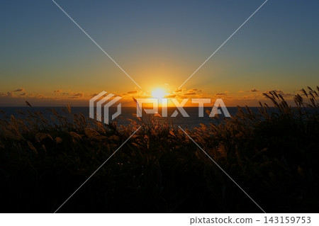 秋日景色,夕陽西下,地平線以下,一片蘆葦草地綿延開來。 秋日景色,夕陽西下,地平線以下,一片蘆葦草地綿延開來。 143159753