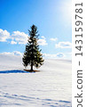 A single spruce tree standing in a snow-covered field under a clear sky – a Christmas tree scene. 143159781