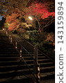 The autumn leaves of Mount Tsukuba, illuminated by lights, display vibrant red and orange hues. 143159894