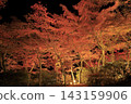 The autumn leaves of Mount Tsukuba, illuminated by lights, display vibrant red and orange hues. 143159906