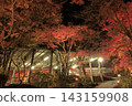 The autumn leaves of Mount Tsukuba, illuminated by lights, display vibrant red and orange hues. 143159908