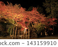 The autumn leaves of Mount Tsukuba, illuminated by lights, display vibrant red and orange hues. 143159910