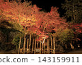 The autumn leaves of Mount Tsukuba, illuminated by lights, display vibrant red and orange hues. 143159911