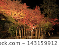 The autumn leaves of Mount Tsukuba, illuminated by lights, display vibrant red and orange hues. 143159912