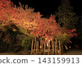 The autumn leaves of Mount Tsukuba, illuminated by lights, display vibrant red and orange hues. 143159913