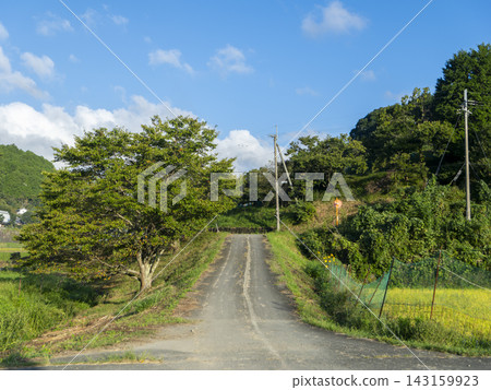 眼前是一片道路景觀,稻田和樹木綿延不絕。 眼前是一片道路景觀,稻田和樹木綿延不絕。 143159923