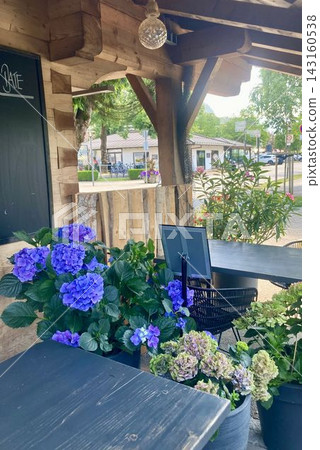 Beautiful blue hydrangea flowers blooming in an authentic restaurant in Mittenwald, Bavaria, Germany Beautiful blue hydrangea flowers blooming in an authentic restaurant in Mittenwald, Bavaria, Germany 143160538