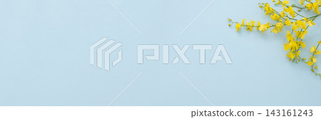 Flower frame background material Flower frame background material 143161243