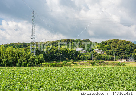 Rural landscape of Katata, Otsu City, Lake Biwa region, Shiga Prefecture Rural landscape of Katata, Otsu City, Lake Biwa region, Shiga Prefecture 143161451