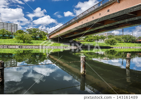 東京都江東區大島小松川公園及原中川的夏日景觀 東京都江東區大島小松川公園及原中川的夏日景觀 143161489