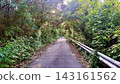 從三宅島鬱鬱蔥蔥的森林中，可以欣賞到一條都會公路的美景。 143161562