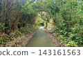 從三宅島鬱鬱蔥蔥的森林中，可以欣賞到一條都會公路的美景。 143161563