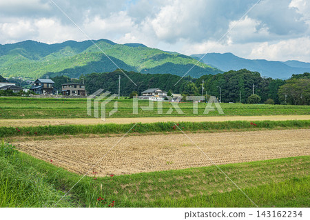 Rice terraces in Ikadachi, Otsu City, Shiga Prefecture: Rice fields after harvest. Rice terraces in Ikadachi, Otsu City, Shiga Prefecture: Rice fields after harvest. 143162234