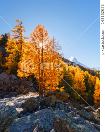 Vertical photo. Scenic mountain landscape with colorful autumn trees under a clear sky in daytime. Vertical photo. Scenic mountain landscape with colorful autumn trees under a clear sky in daytime. 143162638