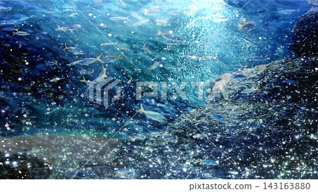 一幅充滿療癒力的畫面:魚兒在水下游動,氣泡翻騰。 一幅充滿療癒力的畫面:魚兒在水下游動,氣泡翻騰。 143163880