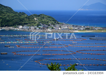 The beautiful sea and aquaculture rafts of Kashiwajima, Kochi Prefecture. The beautiful sea and aquaculture rafts of Kashiwajima, Kochi Prefecture. 143163994