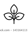 Simple leaf line art icon: Three-leaf clover 01 143164113