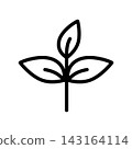 Simple leaf line art icon: Three-leaf clover 02 143164114