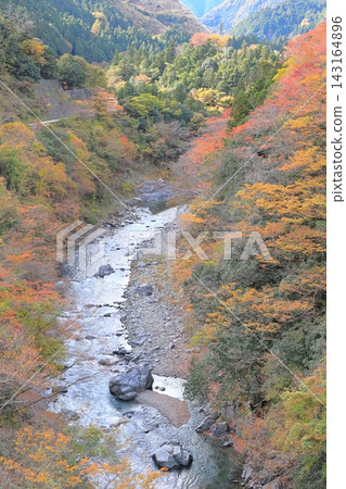從奧多摩貝澤橋看冰河溪谷的紅葉 143164896
