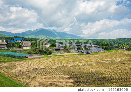 Rice terraces in Ikadachi, Otsu City, Shiga Prefecture: Rice fields after harvest. Rice terraces in Ikadachi, Otsu City, Shiga Prefecture: Rice fields after harvest. 143165606