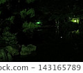 夜晚的日本花園：池塘和松樹在漆黑的夜色中詭異地漂浮著綠色的燈光。 143165789