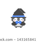 Witch Penguin Pixel Art 143165841