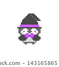 Witch Penguin Pixel Art 143165865
