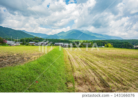Rice terraces in Ikadachi, Otsu City, Shiga Prefecture: Rice fields after harvest. Rice terraces in Ikadachi, Otsu City, Shiga Prefecture: Rice fields after harvest. 143166076