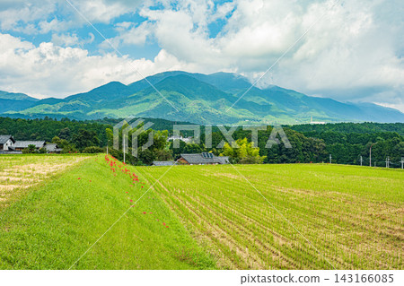 Rice terraces in Ikadachi, Otsu City, Shiga Prefecture: Rice fields after harvest. Rice terraces in Ikadachi, Otsu City, Shiga Prefecture: Rice fields after harvest. 143166085