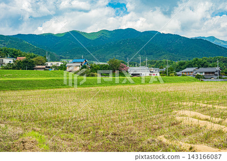 Rice terraces in Ikadachi, Otsu City, Shiga Prefecture: Rice fields after harvest. Rice terraces in Ikadachi, Otsu City, Shiga Prefecture: Rice fields after harvest. 143166087