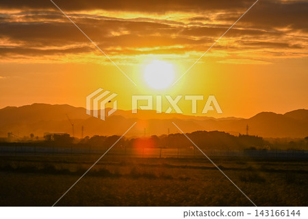 A flock of cranes flying in the dawn sky - Izumi City, Kagoshima Prefecture A flock of cranes flying in the dawn sky - Izumi City, Kagoshima Prefecture 143166144
