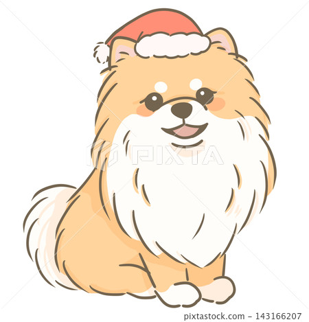 An illustration of a Pomeranian wearing a Christmas Santa hat. An illustration of a Pomeranian wearing a Christmas Santa hat. 143166207