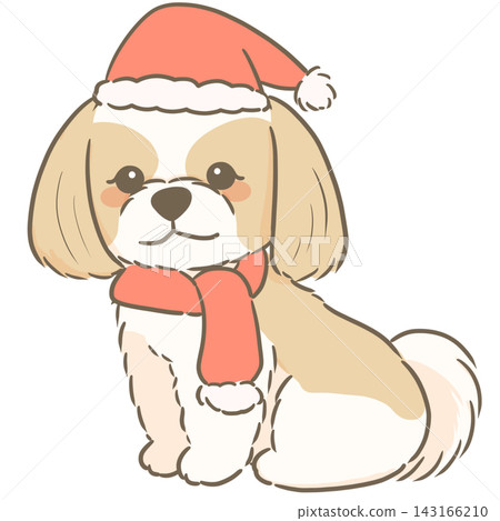 An illustration of a Shih Tzu wearing a Christmas Santa hat and a red scarf. An illustration of a Shih Tzu wearing a Christmas Santa hat and a red scarf. 143166210