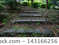 A stone staircase quietly leads through the grove of trees in Hibiya Park. 143166256
