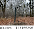 A single swing hangs from a tall metal frame in a quiet winter forest. Bare trees, fallen leaves and muted colors create a calm, slightly melancholic atmosphere, capturing the stillness of an empty 143166296