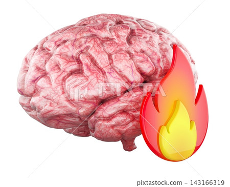 Human brain with flame. Mental burnout, brain inflammation, neurological stress and cognitive overload, concept. 3D rendering 143166319