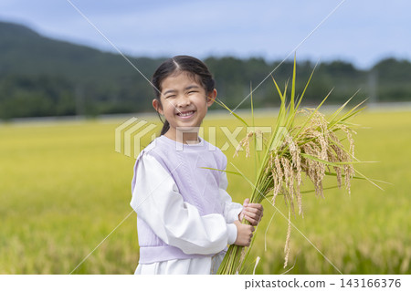 一位笑容燦爛的6歲女孩手捧一捆米，站在稻田裡。 143166376