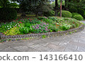 Colorful flowerbeds blooming along the cobblestone walking paths of Hibiya Park. 143166410