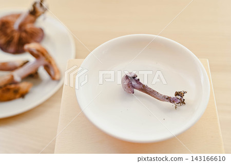 一種罕見的野生蘑菇：*赭紫菇* 143166610
