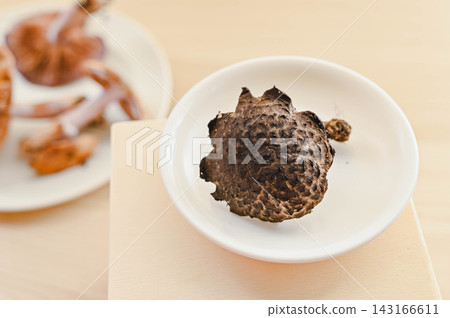 新鮮採摘的巨型牛肝菌 新鮮採摘的巨型牛肝菌 143166611