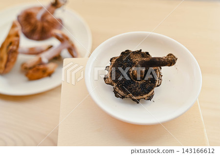 新鮮採摘的巨型牛肝菌 143166612