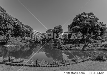 2024 年 5 月，肥後細川庭園的池塘和日式庭園氛圍的單色描繪。 143166684