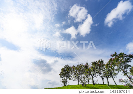 夏天的藍天、白雲和草地 夏天的藍天、白雲和草地 143167014