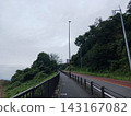 Streetscape of Yomiuri V Street: A sloping road and sidewalk surrounded by greenery. 143167082