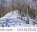 Thirty-three Kannon statues standing on the Akakura climbing trail of Mt. Iwaki in April, and the snow-covered ridgeline. 143167618