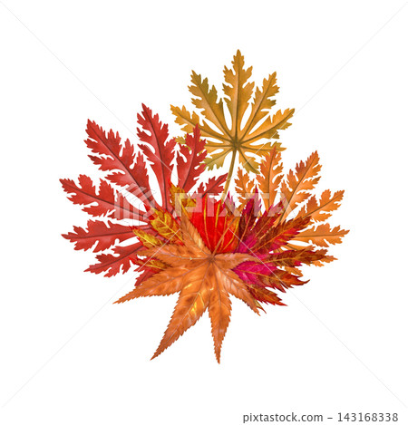 Watercolor Asian maple leaf cluster in vivid red, orange and golden autumn colors. Hand-painted botanical arrangement for cards, invitations, labels, packaging, stationery and seasonal decor Watercolor Asian maple leaf cluster in vivid red, orange and golden autumn colors. Hand-painted botanical arrangement for cards, invitations, labels, packaging, stationery and seasonal decor 143168338