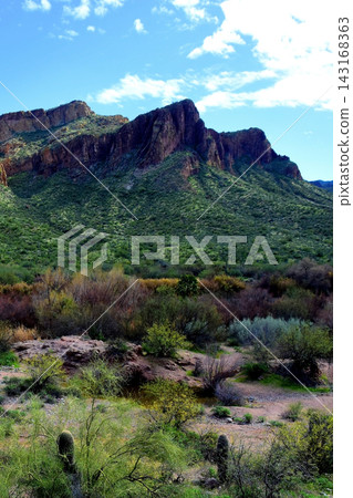 Salt River Recreation Area Arizona Salt River Recreation Area Arizona 143168363