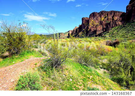 Salt River Recreation Area Arizona Salt River Recreation Area Arizona 143168367
